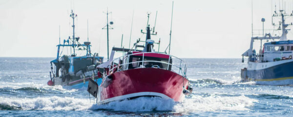 location de bateaux